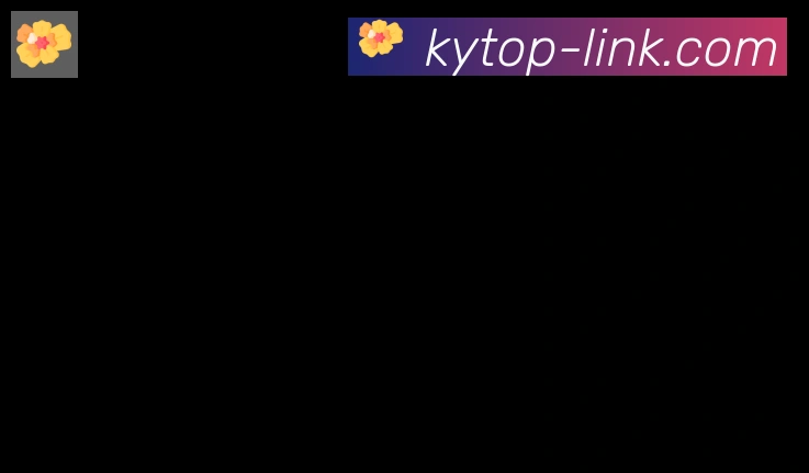 开云APP合作伙伴
